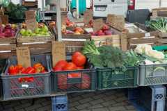 Zdjecie-WhatsApp-2025-11-06-o-05.35.41_183d70e4