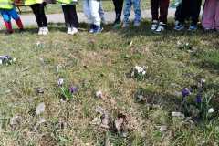 WhatsApp-Image-2026-03-23-at-11.1