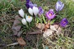 WhatsApp-Image-2026-03-23-at-11.13.3