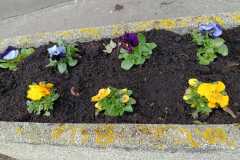 WhatsApp-Image-2026-03-23-at-11.13