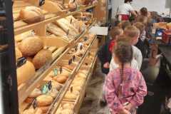 WhatsApp-Image-2026-03-17-at-12