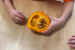 Zdjecie-WhatsApp-2025-10-31-o-10.41.25_9495c9b7