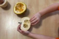 Zdjecie-WhatsApp-2025-10-31-o-10.41.25_dcb9e2dc