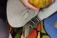 Zdjecie-WhatsApp-2025-10-31-o-09.45.39_5befdbac