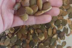 Zdjecie-WhatsApp-2025-10-31-o-15.08.40_e345f57b