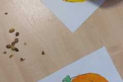 Zdjecie-WhatsApp-2025-10-31-o-15.08.43_7b78c01d