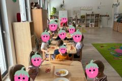 WhatsApp-Image-2026-02-24-at-10.07.35