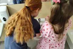 WhatsApp-Image-2026-02-15-at-17.20.23