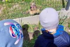 WhatsApp-Image-2026-0