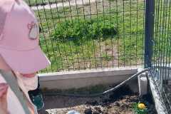 WhatsApp-Image-2026-04-28-at-11.38