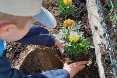 WhatsApp-Image-2026-04-28-at-11.38_