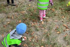 Zdjecie-WhatsApp-2025-10-07-o-18.19.37_a42cd812