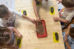 Zdjecie-WhatsApp-2025-09-30-o-16.22.35_086ffce4