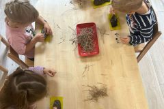 Zdjecie-WhatsApp-2025-09-30-o-16.22.35_523e10d5