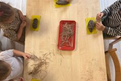 Zdjecie-WhatsApp-2025-09-30-o-16.22.35_d77e8b7b