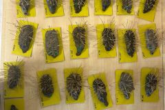 Zdjecie-WhatsApp-2025-09-30-o-16.22.36_0a84edb8