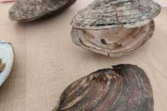 Zdjecie-WhatsApp-2025-09-21-o-16.49.12_ed533731