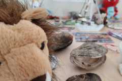 Zdjecie-WhatsApp-2025-09-21-o-16.49.13_620cc608