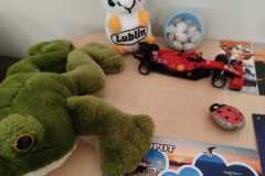 Zdjecie-WhatsApp-2025-09-21-o-16.49.13_d2ff741a