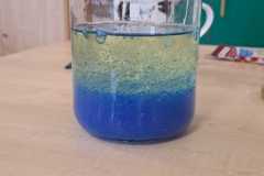 WhatsApp-Image-2026-02-03-at-11.1