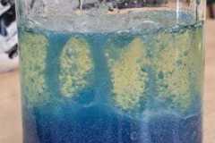 WhatsApp-Image-2026-02-03-at-11.14.3