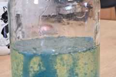 WhatsApp-Image-2026-02-03-at-11.14.37