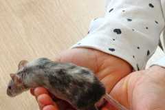 WhatsApp-Image-2026-02-28-at-15.5