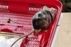 WhatsApp-Image-2026-02-28-at-15.58.4