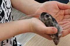 WhatsApp-Image-2026-02-28-at-15.58