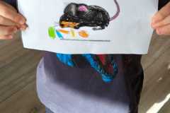 WhatsApp-Image-2026-02-28