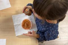 Misie próbują dyniowych muffinek