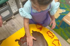 WhatsApp-Image-2025-12-19-a