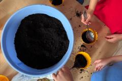 Misie sieją wielkanocny owies