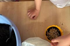 1_WhatsApp-Image-2026-03-26-at-10.58