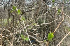 WhatsApp-Image-2026-03-22-at-15.58.2