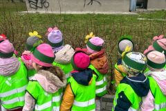 WhatsApp-Image-2026-03-22-at-15.58.28