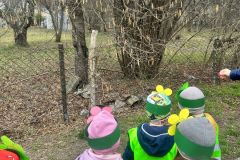 WhatsApp-Image-2026-03-22-at-15.58