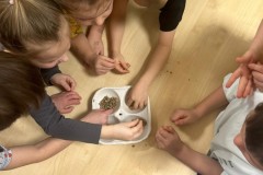 Misie w świecie pszczół