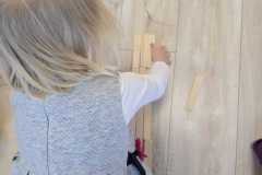 WhatsApp-Image-2026-02-16-at-1