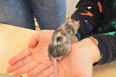 1_WhatsApp-Image-2026-02-23-at-09.27