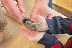 WhatsApp-Image-2026-