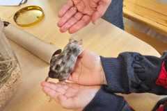 WhatsApp-Image-2026-02-2