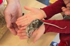 WhatsApp-Image-2026-02-23-at-