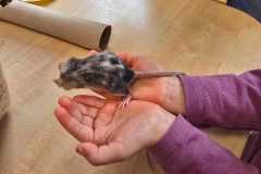 WhatsApp-Image-2026-02-23-at-0