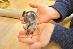 WhatsApp-Image-2026-02-23-at-09.2