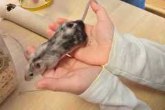 WhatsApp-Image-2026-02-23-at-09.27.2