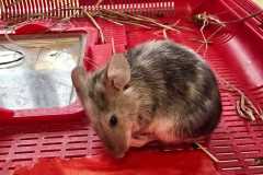 WhatsApp-Image-2026-02-23-at-09.27.29