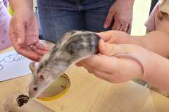 WhatsApp-Image-2026-02-23-at-09.27