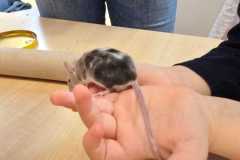 WhatsApp-Image-2026-02-23-at-09