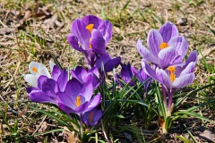 WhatsApp-Image-2026-03-23-at-19